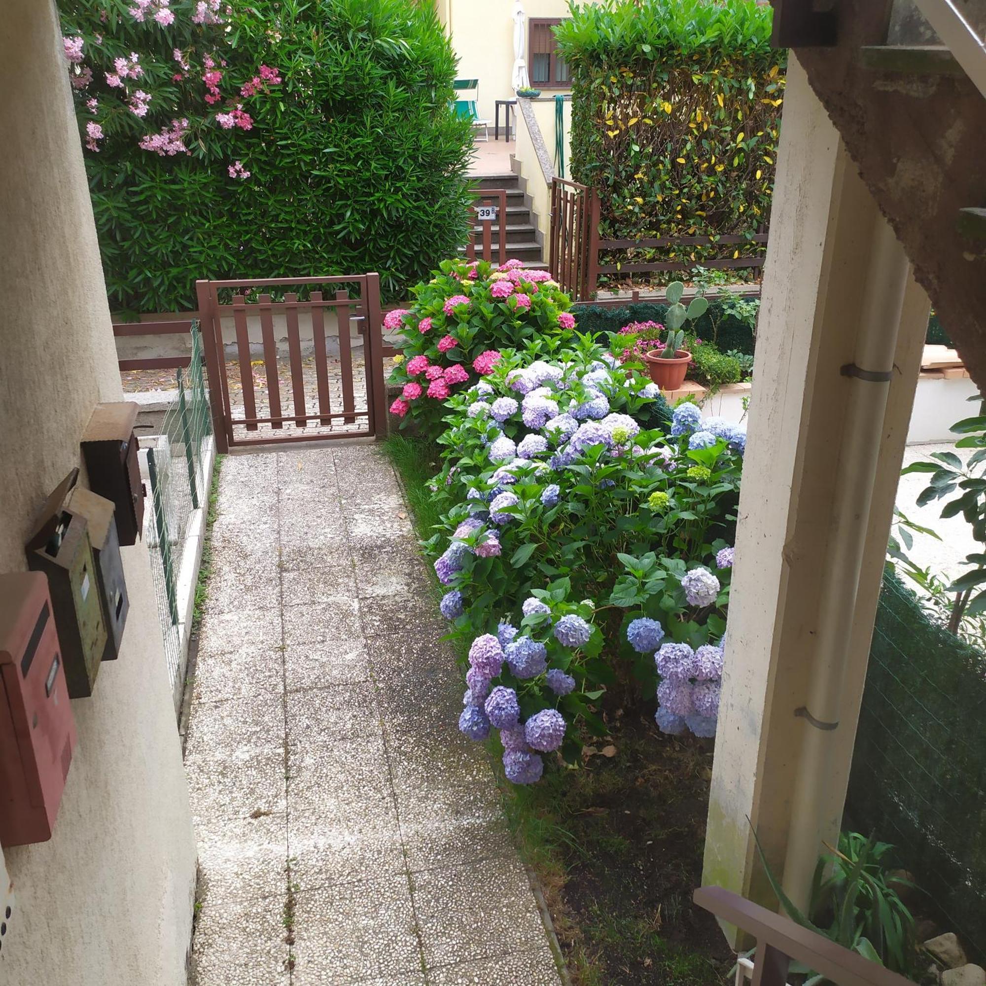 Apartment Santa Maria Bolsena Exterior photo